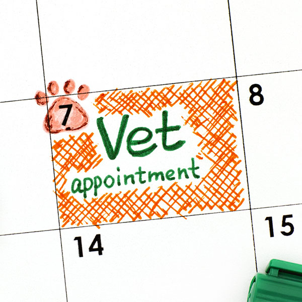 Schedule of Johnson and Johnson Mobile Vet Clinic